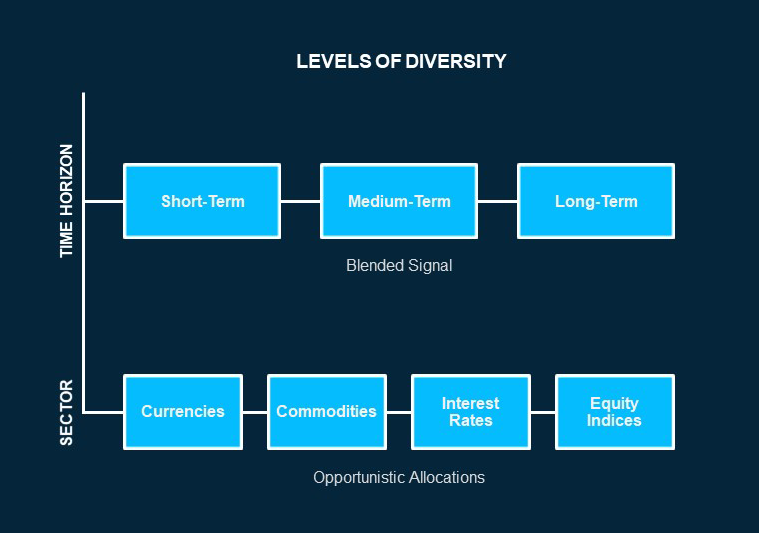 Diversity Levels